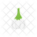 Allium Vegetable Food Icon