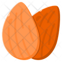 Almond Icon