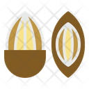 Almond Nut Seed Icon