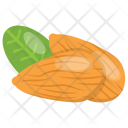 Almonds Dry Fruit Icon