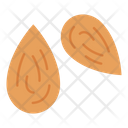 Almond Organic Food Icon