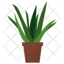 Aloe Potted Plant Icon