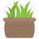 Aloevera Plant Agave Icon