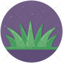 Aloe Vera Evergreen Succulent Icon