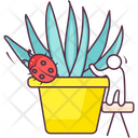Aloe Vera Icon