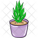 Aloe Vera Plant Agave Pot Icon