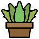 Plant Pot Aloe Icon