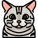 American Shorthair Cat Cat Face Icon