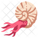 Ammonite Icon