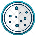 Analysis Petri Dish Icon