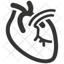 Anatomy Icon