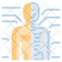 Ianatomy Anatomy Human Icon