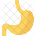 Anatomy Humanstomach Organ Icon