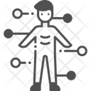 Anatomy  Icon