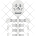 Anatomy Bone Skull Icon