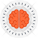 Anatomy Brain Brainstorm Icon
