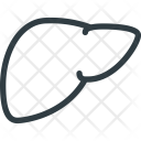 Anatomy  Icon