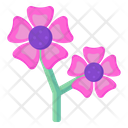 Anemone Flowers Icon