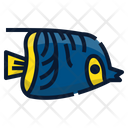 Fish Animal Ocean Icon