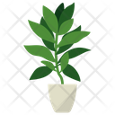 Indoor Plant Ornamental Plant Houseplant Decoration Icon