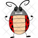 Angry Ladybug  Icon