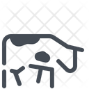 Animal Cow Farm Icon