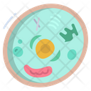 Animal Cell Cells Biology Icon