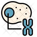 Animal Cell Icon
