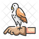 Animal training Icon