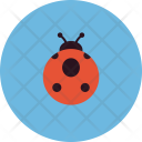 Animals Insect Bug Icon