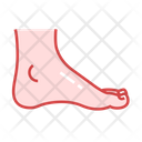 Ankle Foot Leg Icon