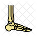 Ankle Bone Icon