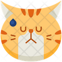 Annoyed Emoticon Cat Icon