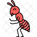 Ant Bug Suger Icon