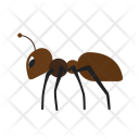 Ant Ii Animal Icon