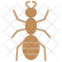 Ant Pest Insect Icon