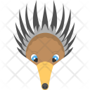 Anteater  Icon