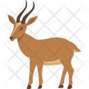 Animals Antelope Gazelle Icon