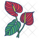 Anthurium Flower Blossom Icon