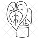 Anthurium Icon
