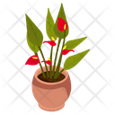 Anthurium Houseplant Icon