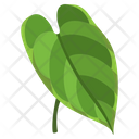 Anthurium Icon