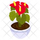 Anthurium Pot Icon