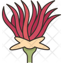 Apache Plume Flower Icon