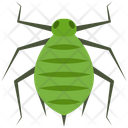Aphid Icon