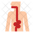 Appendix Icon