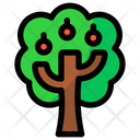 Apple Tree Green Tree Icon