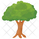 Apple Tree Icon