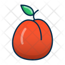 Apricot Food Fruit Icon
