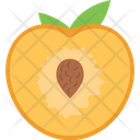 Apricot Food Fruit Icon